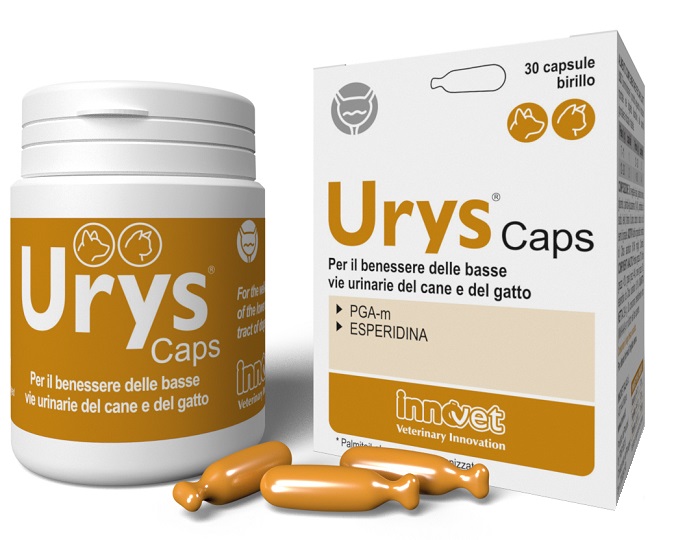 URYS CAPS 30CAPSULE