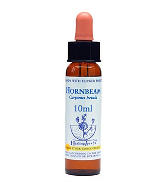 HORNBEAM ESSENZA 10ML