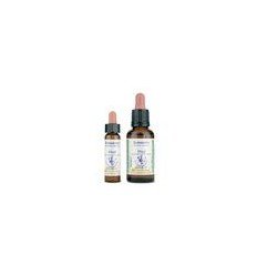 ASPEN ESSENZA 10ML