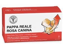 Farmacia Candelori Pappa Reale Rosa Canina 10 Fiale Gusto Pesca