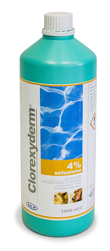 CLOREXYDERM SOLUZIONE 4% 100ML