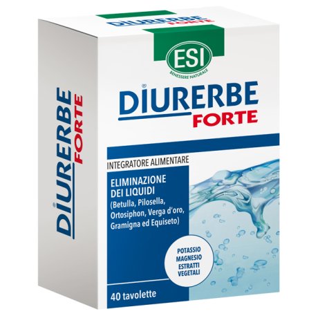 DIURERBE FORTE 40TAV 1200MG