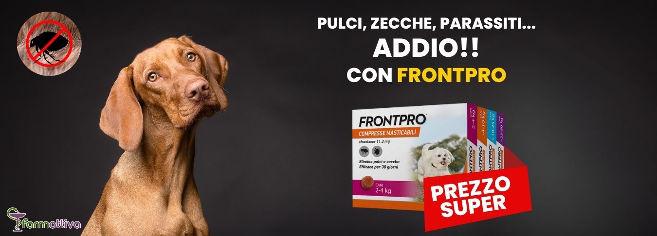 Frontpro